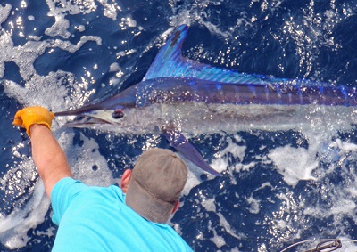 NMFS permit banner